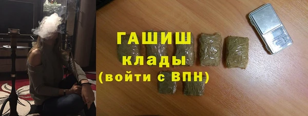 сатива Аркадак
