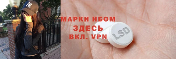 сатива Аркадак