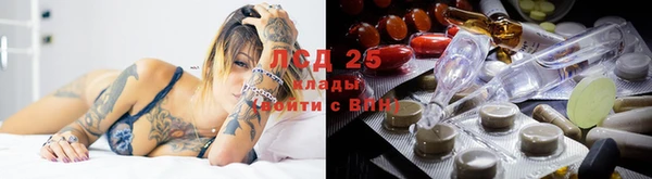 сатива Аркадак