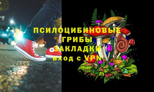 сатива Аркадак