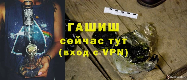 сатива Аркадак