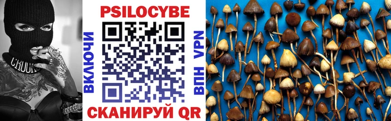 Псилоцибиновые грибы мицелий  Кропоткин 